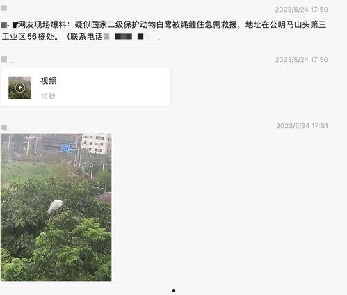 深圳新闻最新爆料,揭秘某神秘项目背后真相