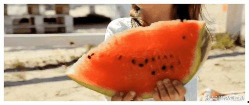 狗仔最新爆料的瓜,娱乐圈惊天大瓜，真相令人震惊！