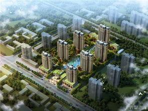 鹿泉问题最新爆料,真相与争议交织