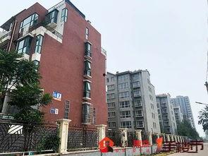 石家庄桃园最新爆料信息,揭秘项目最新进展与亮点