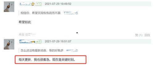 网络爆料事件最新消息,最新事件进展全解析