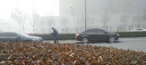 中牟最新爆料事件,事件真相揭秘，社会关注焦点再升级