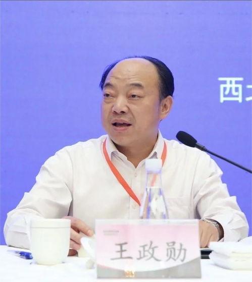 西北政法教授最新爆料,揭秘法学界惊人真相