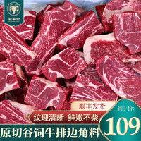 沈猛最新爆料胖头鱼,胖头鱼背后的惊人真相