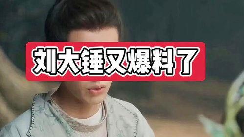 刘大锤最新爆料汇总