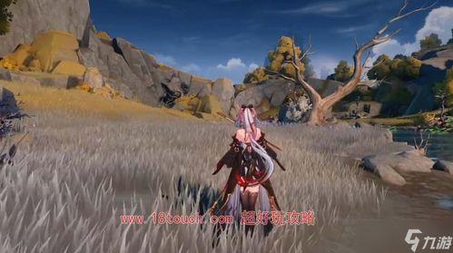 鸣潮长离最新爆料,揭秘神秘势力背后的惊天秘密