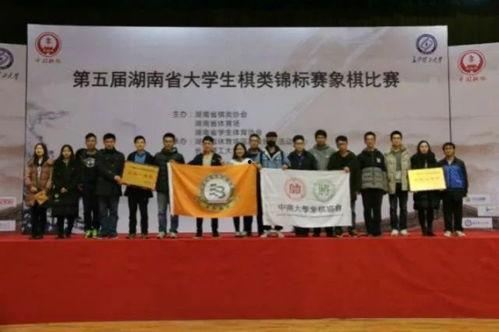 屯子最新爆料新闻,揭秘惊人内幕，事件真相令人震惊