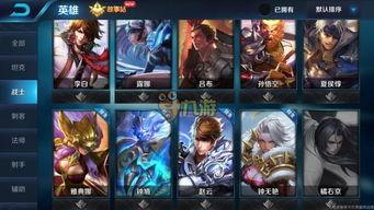 体验服王者荣耀最新爆料,神秘英雄登场，技能革新引期待